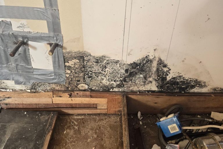 Black mold removal inside wall cavity during remediation