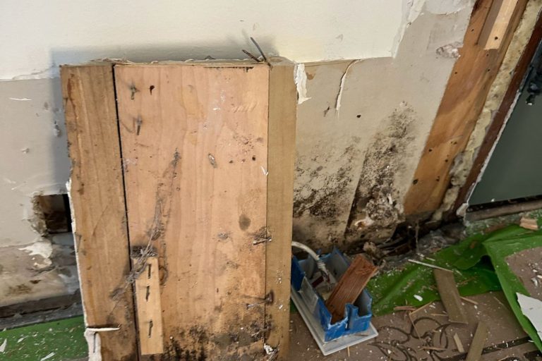 Mold inspection in a Houston home with exposed wall damage
