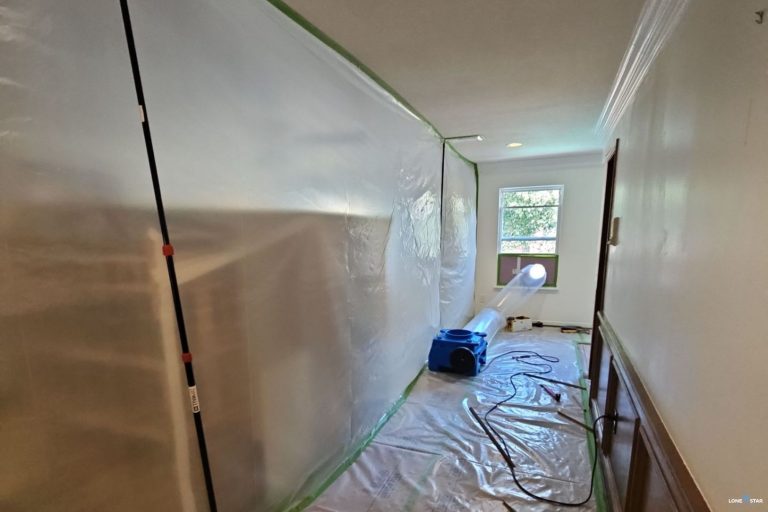 Mold removal containment for Houston business property